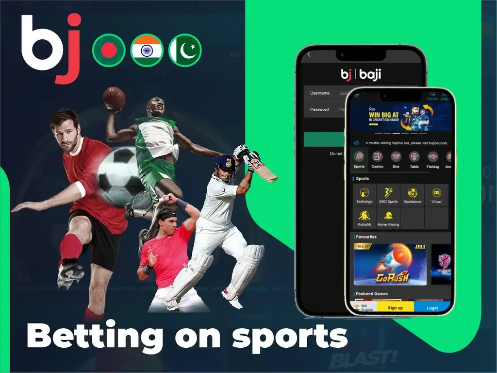 baji login